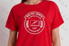 5001-Boyai-J-Gimnazium-Kecsemet